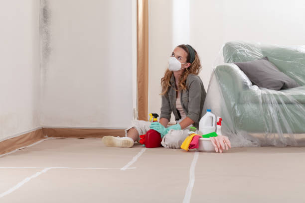Reliable Mold Removal contractor in Rockville, MN by WQB Mold Removal